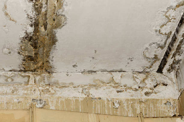 Water damage restoration process